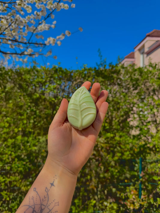 Fondant CBD 🍃